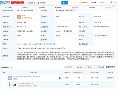 科大訊飛落子大理，智能科技公司聚焦信息系統集成服務